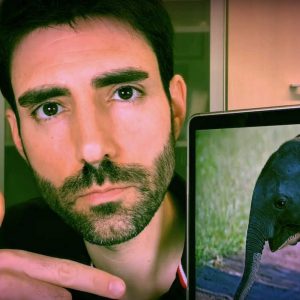Vlog #276: Elefantes perseguidos y defendidos… por humanos…